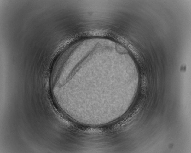 X0000097990537200804211107