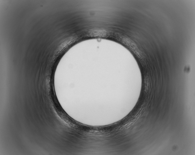 X0000097990538200804211107