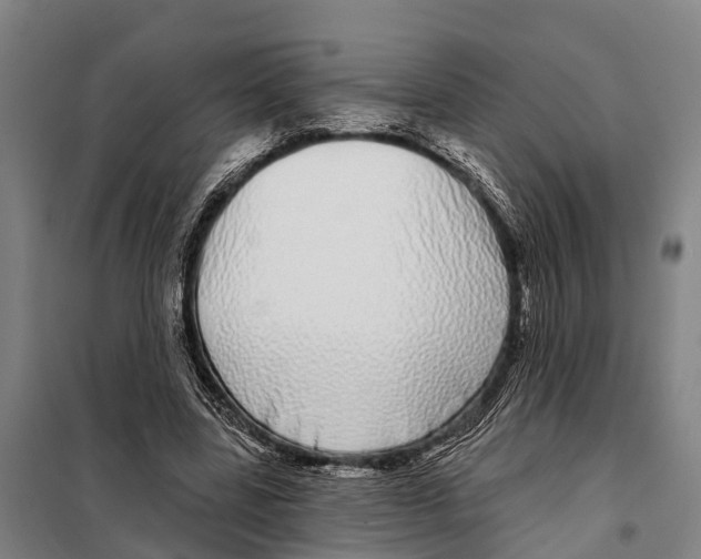 X0000097990539200804211107