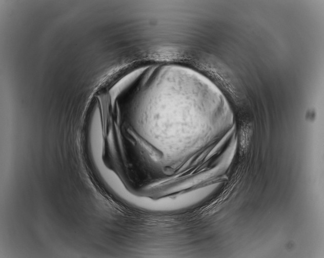 X0000097990540200804211107