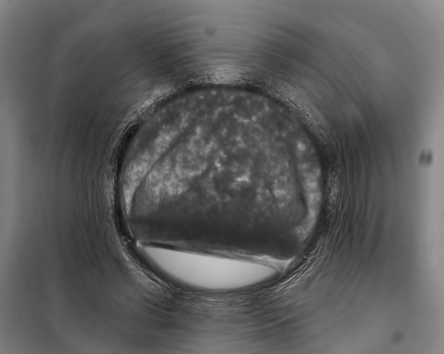 X0000097990542200804211107