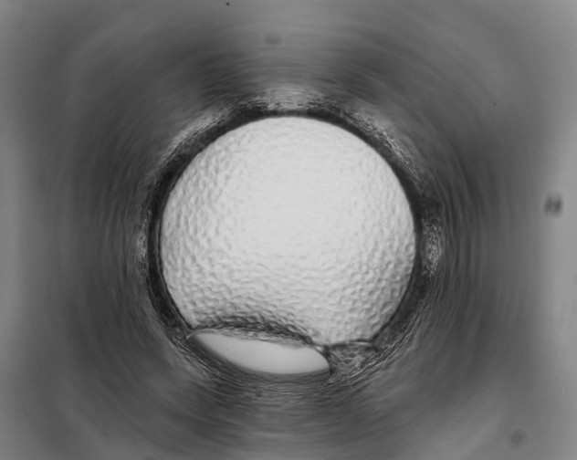 X0000097990543200804211107