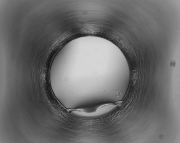 X0000097990544200804211107