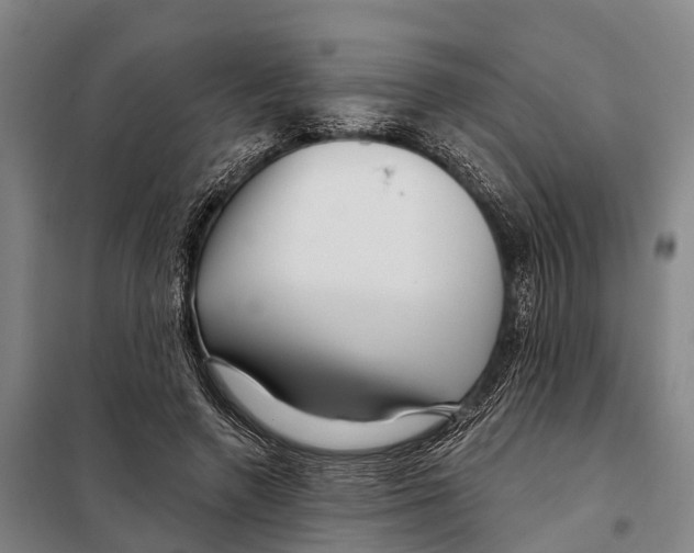 X0000097990546200804211107