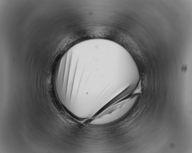 X0000097990548200804211107