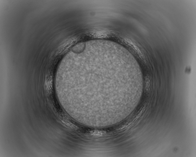 X0000097990549200804211107