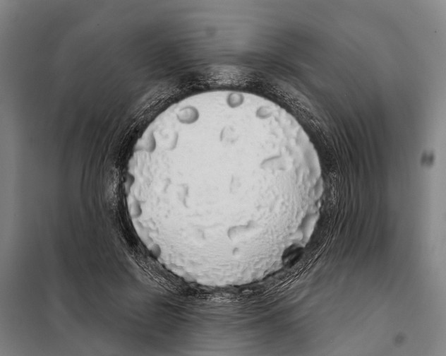 X0000097990550200804211107