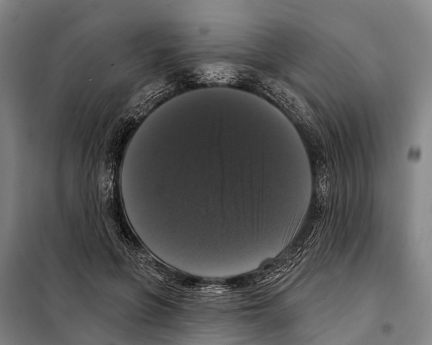 X0000097990551200804211107