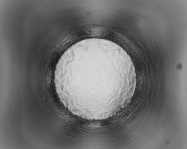 X0000097990554200804211107