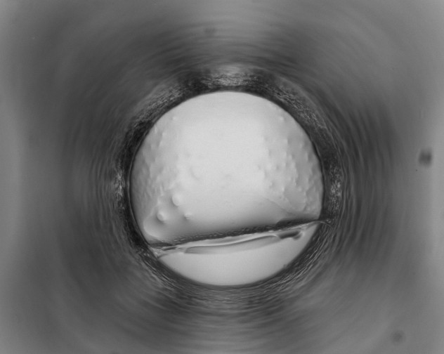 X0000097990555200804211107