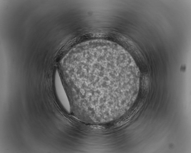 X0000097990557200804211107