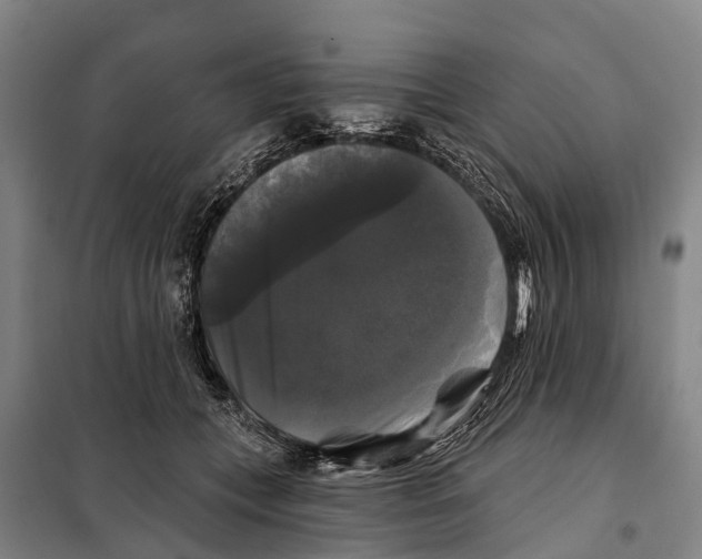 X0000097990559200804211107