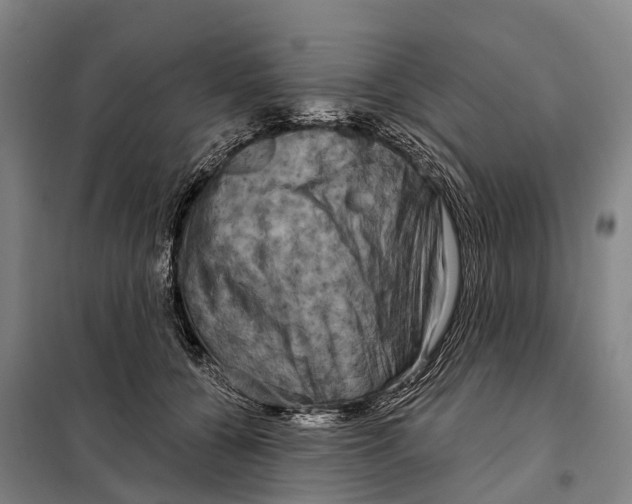 X0000097990560200804211107