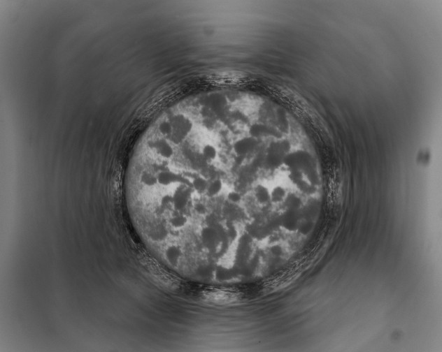 X0000097990561200804211107