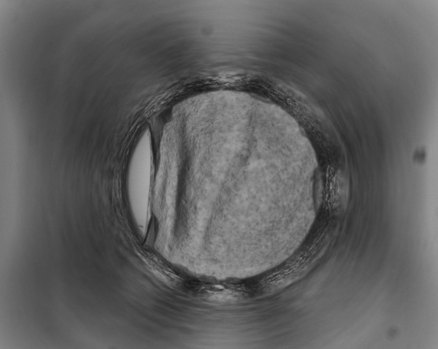 X0000097990562200804211107