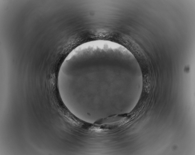 X0000097990563200804211107