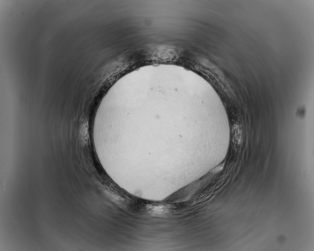 X0000097990564200804211107