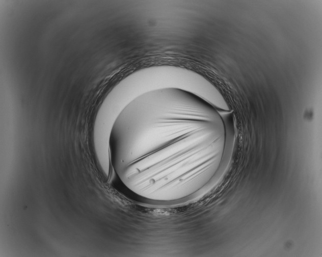 X0000097990566200804211107