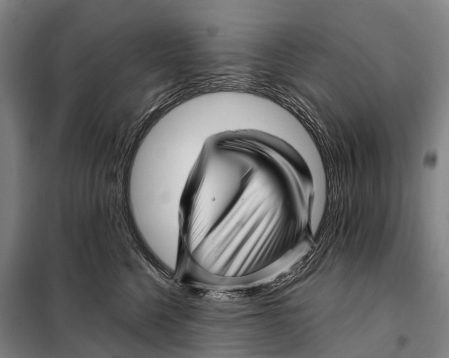 X0000097990568200804211107