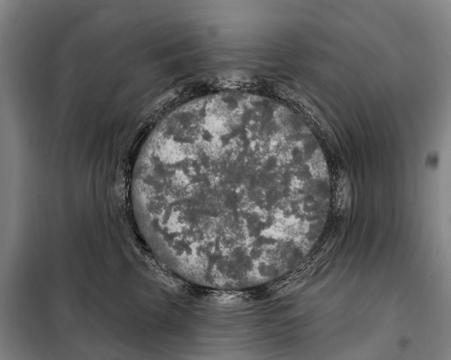 X0000097990569200804211107