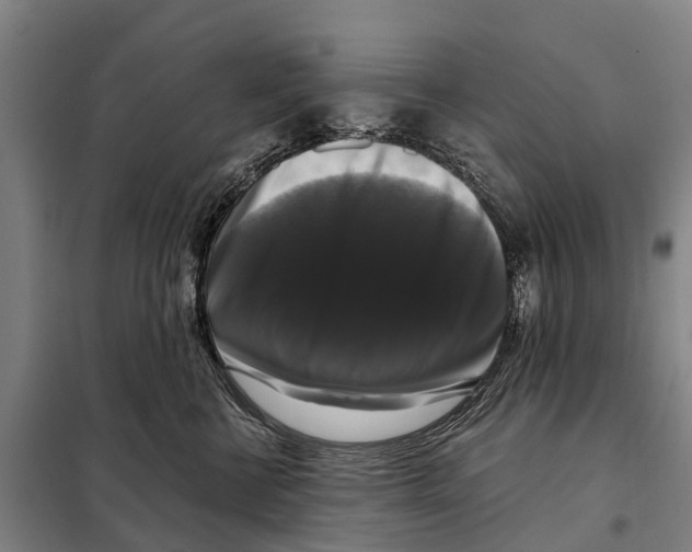 X0000097990570200804211107