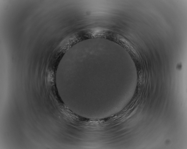 X0000097990571200804211107