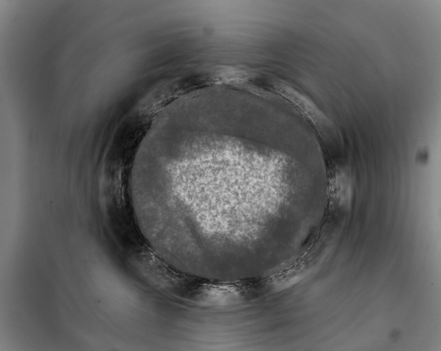 X0000097990572200804211107