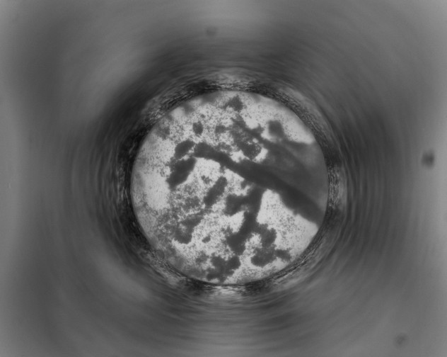 X0000097990573200804211107