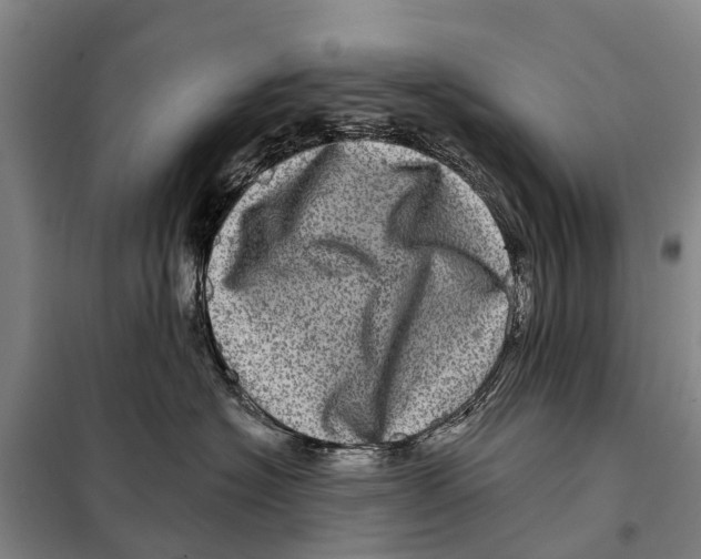 X0000097990574200804211107