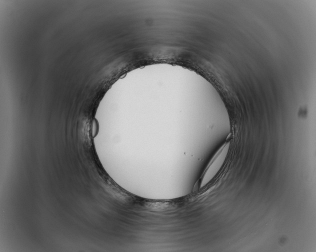 X0000097990575200804211107