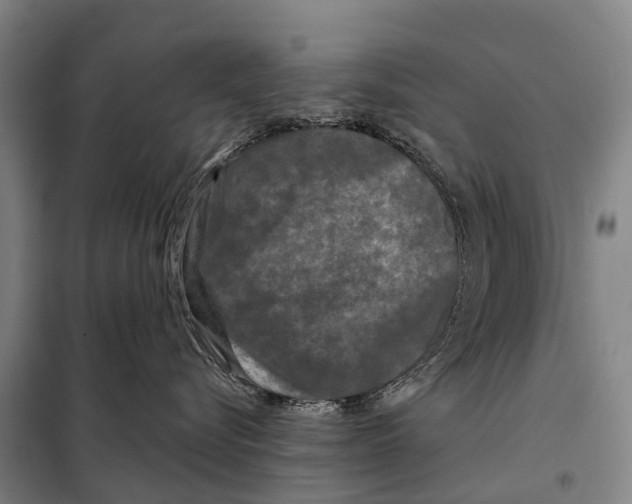 X0000097990576200804211107