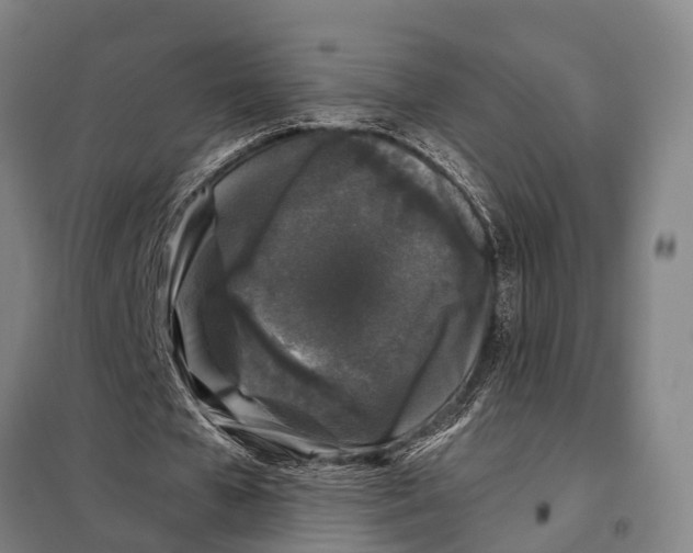 X0000097990577200804211107