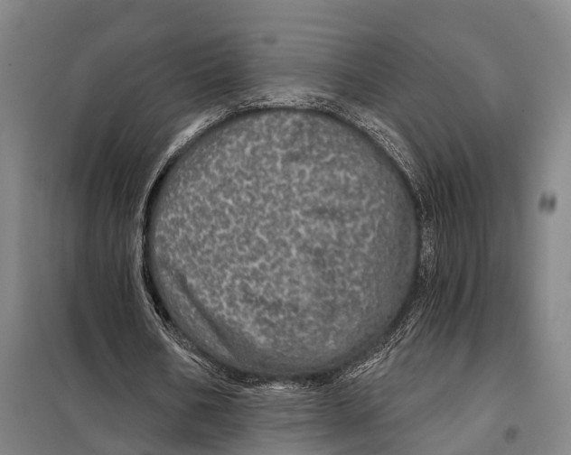 X0000097990578200804211107