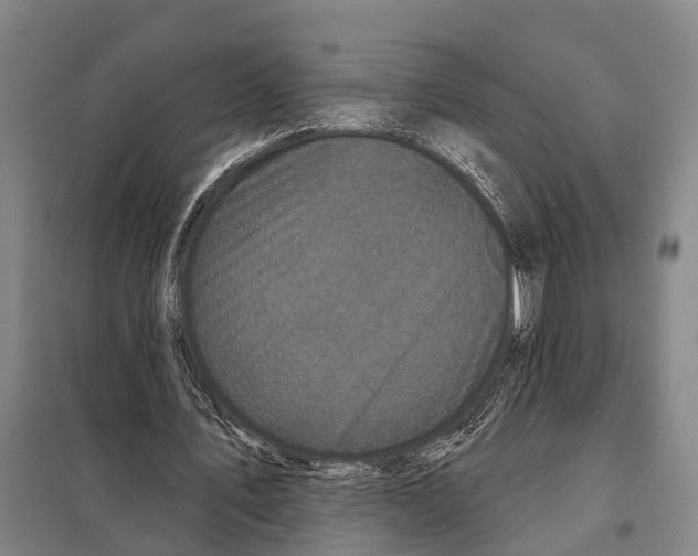 X0000097990579200804211107