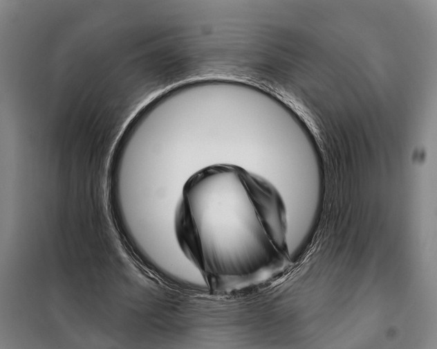 X0000097990580200804211107