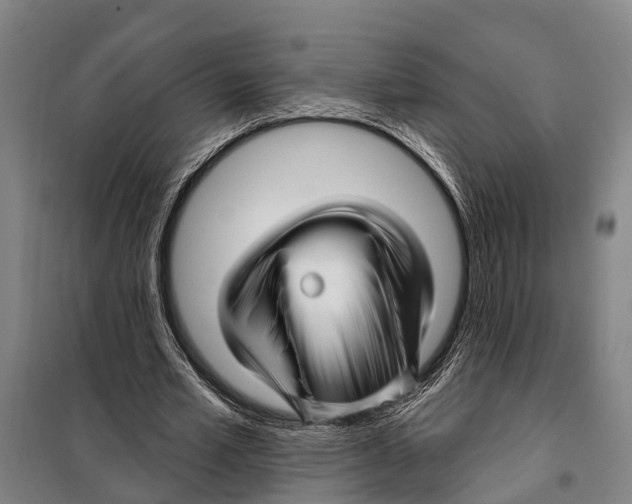 X0000097990581200804211107