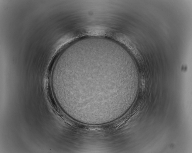 X0000097990583200804211107