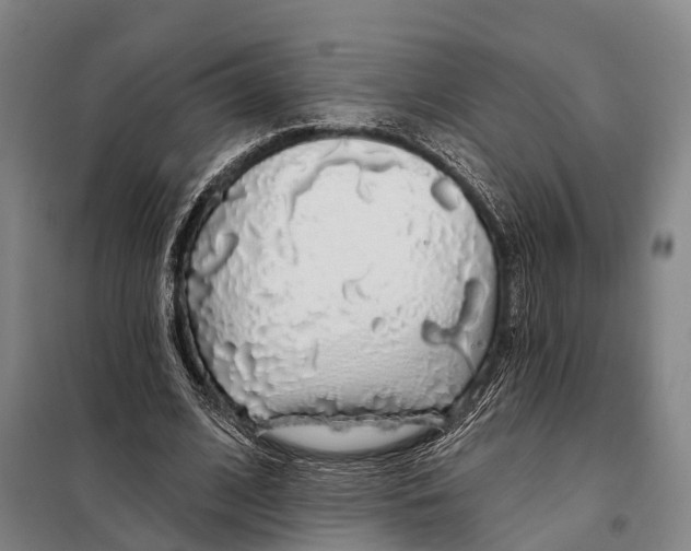 X0000097990584200804211107