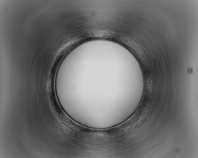 X0000097990587200804211106