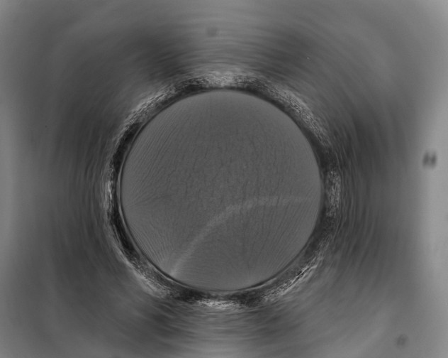 X0000097990590200804211106