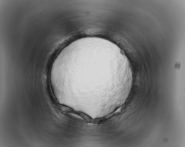 X0000097990592200804211106