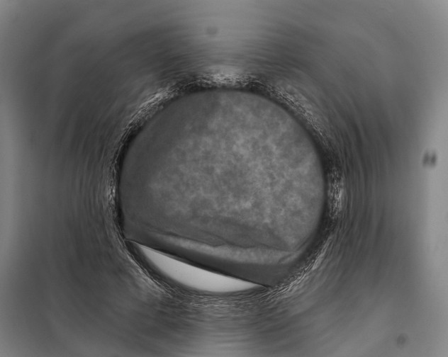 X0000097990593200804211106