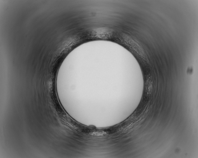 X0000097990595200804211106