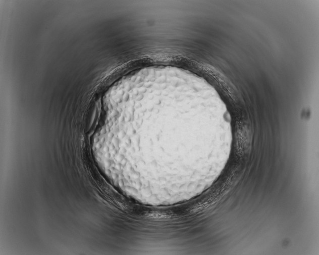 X0000097990596200804211106