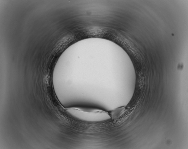 X0000097990597200804211106