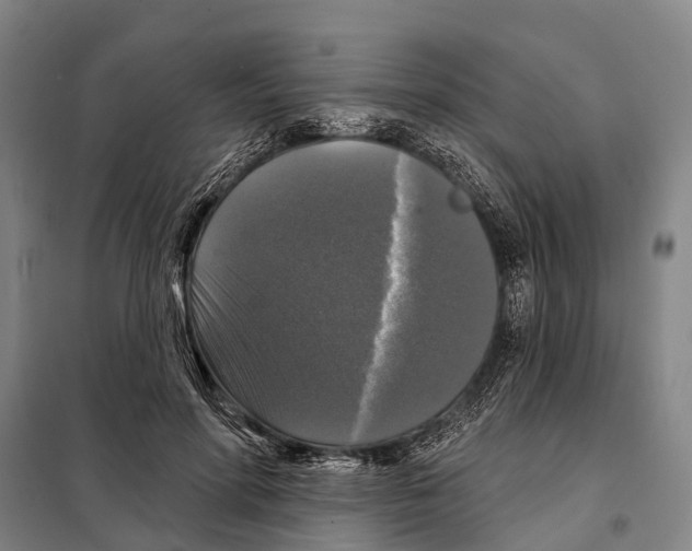 X0000097990598200804211106