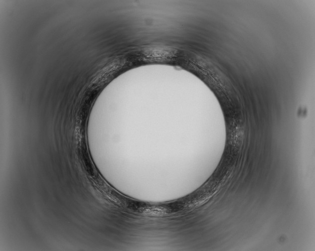 X0000097990599200804211106