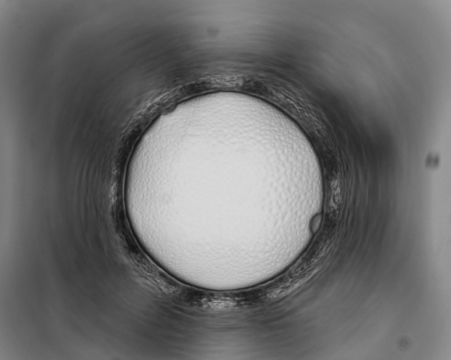 X0000097990600200804211106