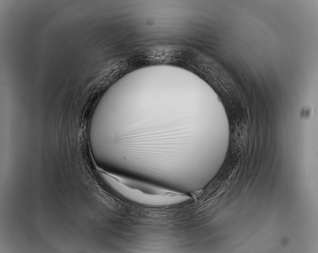 X0000097990601200804211106