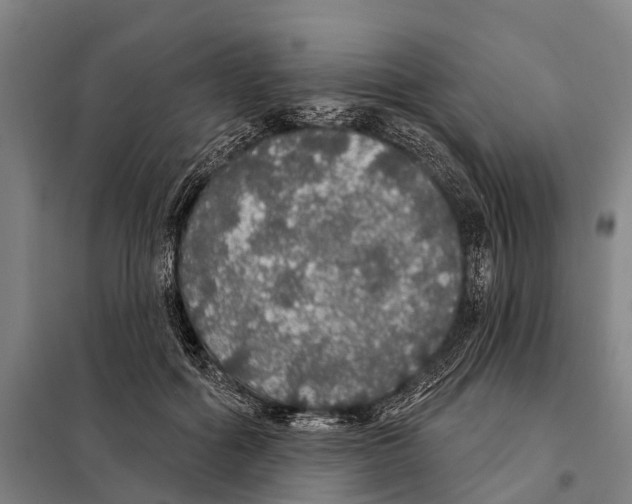 X0000097990602200804211106